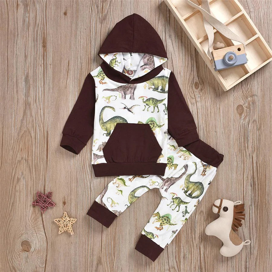 Baby Boys Dinosaur Hoodie and Pants