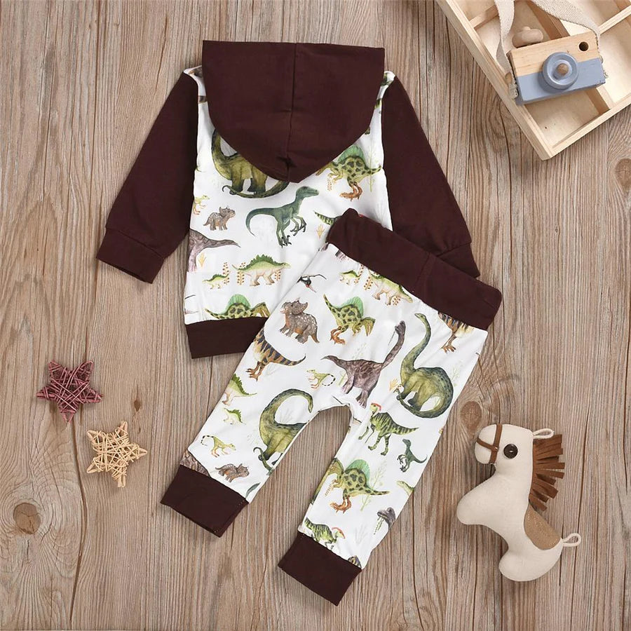 Baby Boys Dinosaur Hoodie and Pants