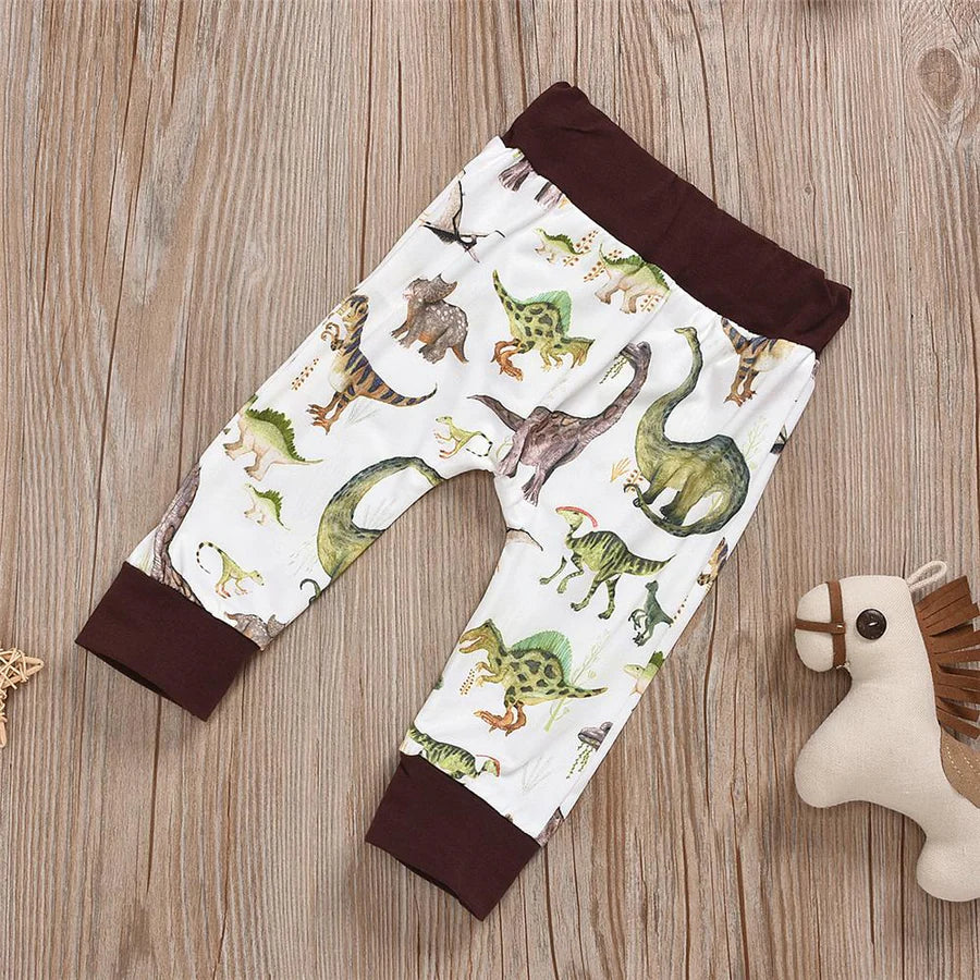 Baby Boys Dinosaur Hoodie and Pants