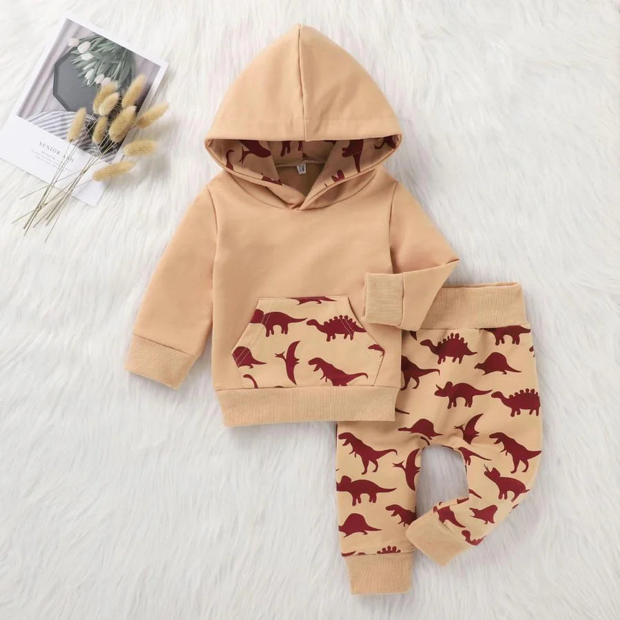 Baby Boys Dinosaur Printed Hooded Top and Pants