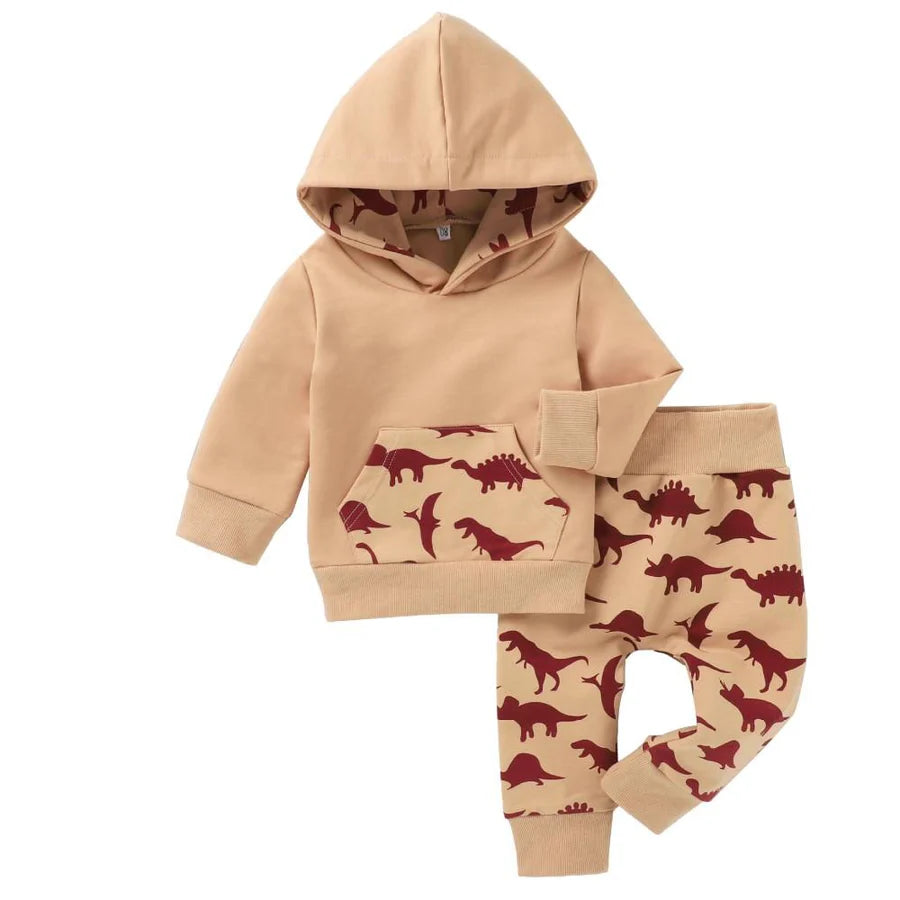 Baby Boys Dinosaur Printed Hooded Top and Pants