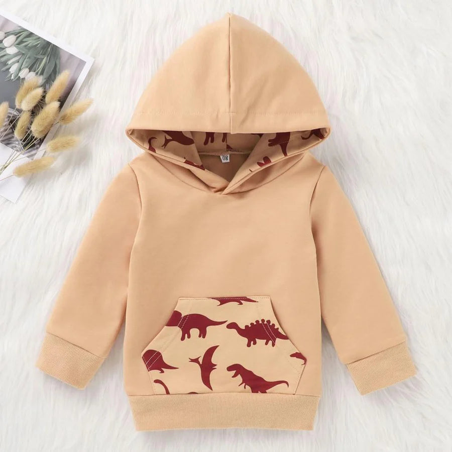 Baby Boys Dinosaur Printed Hooded Top and Pants