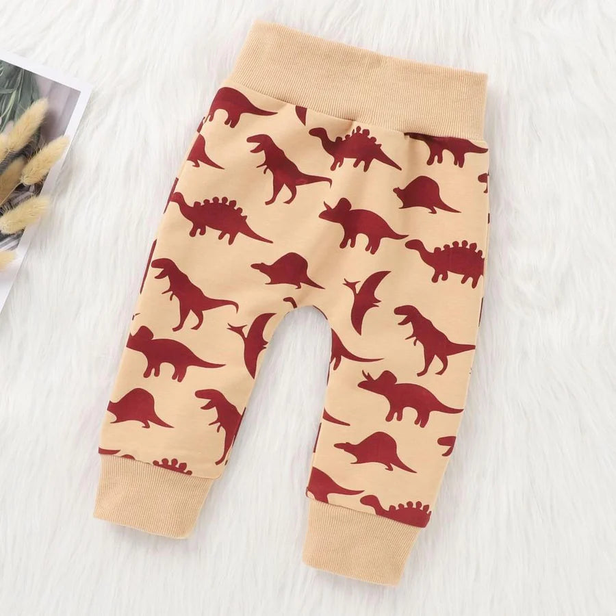 Baby Boys Dinosaur Printed Hooded Top and Pants